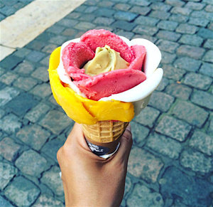 amorino glace amorino restaurant lyon r 233 server horaires t 233 l 233 phone amorino glace amorino restaurant lyon r 233 server horaires t 233 l 233 phone